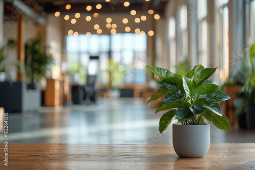 Blurry Office Background