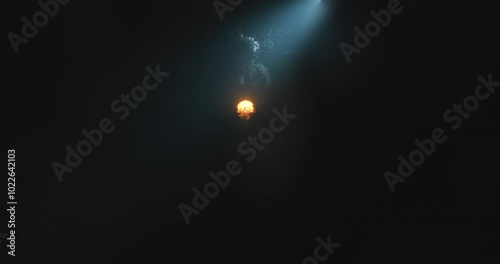 The witch holds a skull candle 