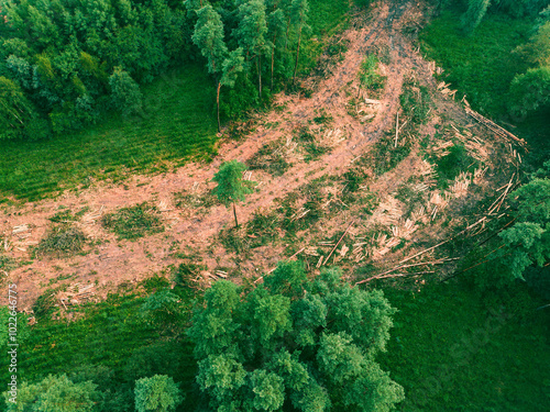 Deforestation effects captured in aerial view, contrasting green forest and bare land