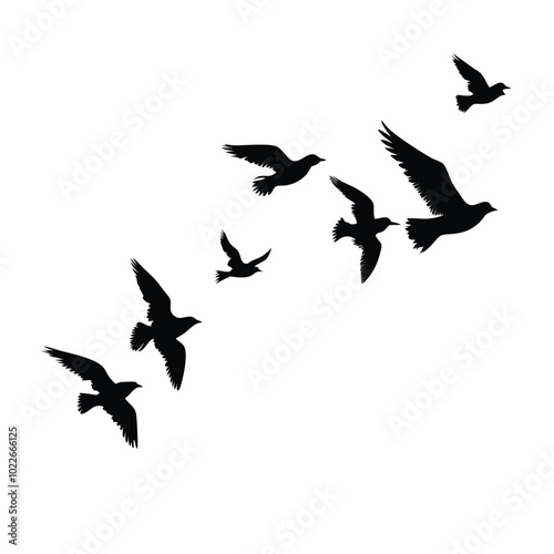 Birds flying silhouette on a isolated white background