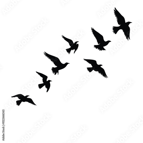 Birds flying silhouette on a isolated white background