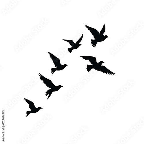 Birds flying silhouette on a isolated white background