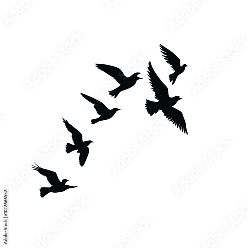 Birds flying silhouette on a isolated white background