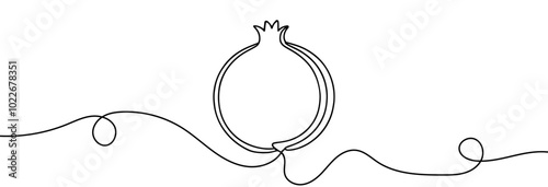 Continuous linear drawing of pomegranate. One line drawing garnet. Pomegranate in one line style. Vector illustration.