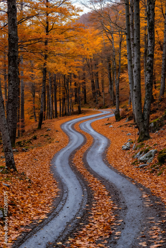 A winding road in the middle of a forest covered in leaves