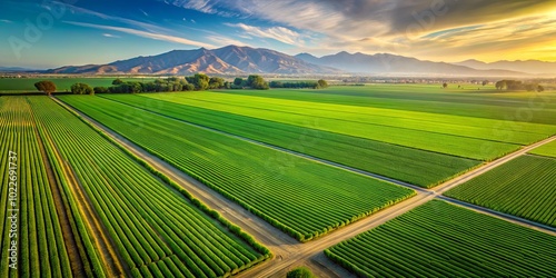 Aerial Time Lapse of Tranquil Agricultural Field Under Cloudy Sky in Bakersfield, California - Idyllic Landscape Photography