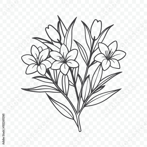 Wallpaper Mural Beautiful Floral Bunch with Detailed Oleander Line Art Vector Illustration for Botanical Designs Torontodigital.ca