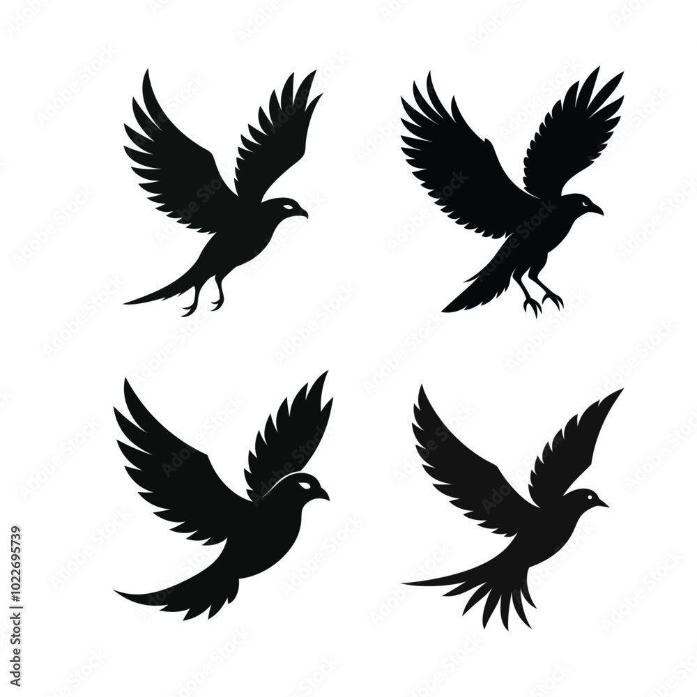 Obraz premium Bird sihlouette 