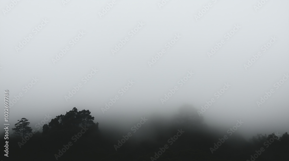 Silhouetted trees shrouded in thick fog, creating an ethereal atmosphere. Silhouetted trees shrouded in thick fog, creating an ethereal atmosphere.