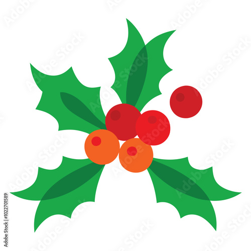 Mistletoe and holly close up view of mistletoe vector illustration