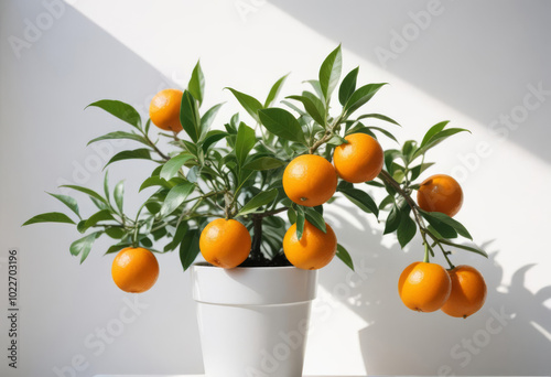 Ripe orange fruits with leaves photo