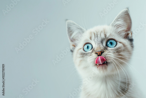 Portrait of a Funny Kitten with Beautiful Blue Eyes Licking Its Lips, Looking Ahead. Generative AI