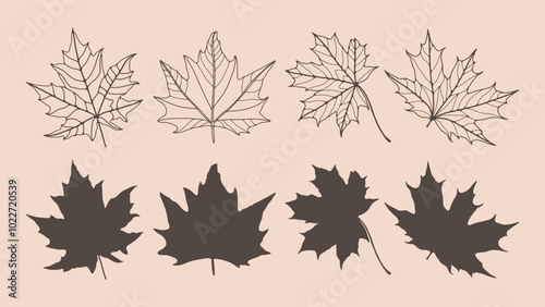 Outline of various maple leaves isolated on a light background. Hand drawn vector botanical illustration