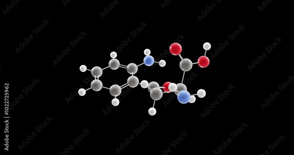 Kynurenine molecule, rotating 3D model of amino acid, looped video on a black background Kynurenine molecule, rotating 3D model of amino acid, looped video on a black background