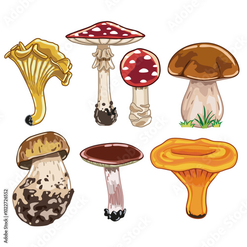 Colorful set of mushrooms.