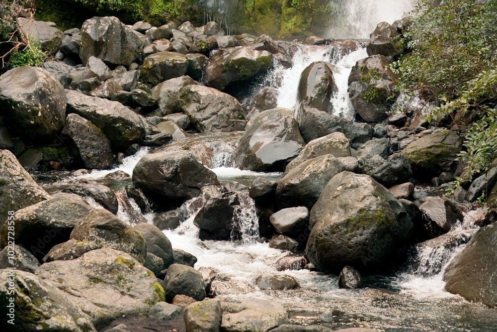 Clean Water Flowing Over Dark Rocks in Forest - Tranquil Nature Stream Clean Water Flowing Over Dark Rocks in Forest - Tranquil Nature Stream