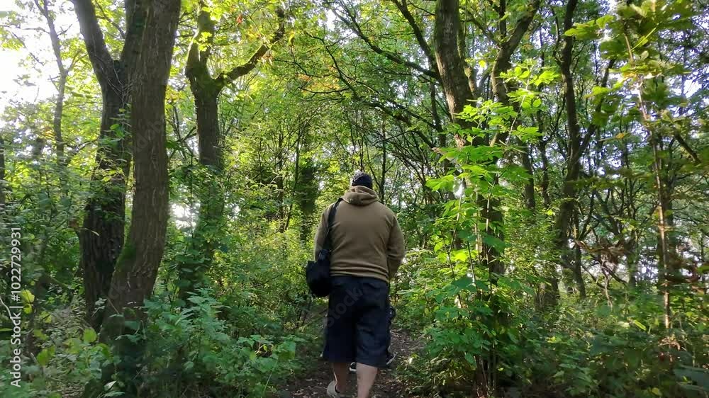 Active couple walk dog along autumn woodland forest path exercising in wilderness healthy lifestyle Active couple walk dog along autumn woodland forest path exercising in wilderness healthy lifestyle