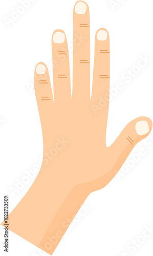 various hand gestures 