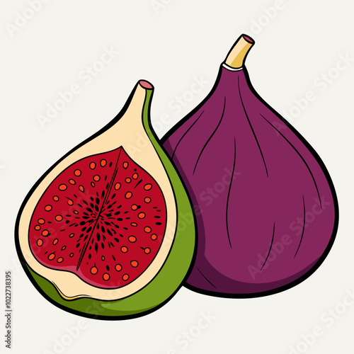 Fig Fruit and slice vector illustration