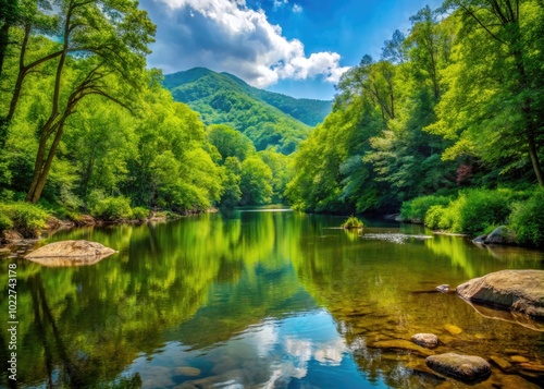 Serene Landscape of Pisgah National Forest with Lush Greenery, Majestic Trees, and Tranquil Waters
