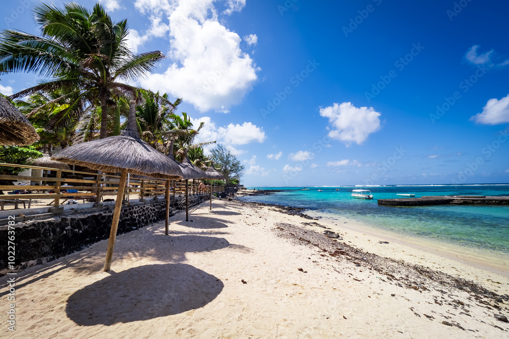 Fototapeta premium Beautiful postcard view of a tropical beach at Blue Bay, Mauritius, lined with coconut trees and crystal clear turquoise waters