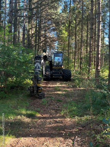 A forestry machine parked on a forest trail surrounded by tall trees, prepared for logging or maintenance work in the woods under a clear sky.