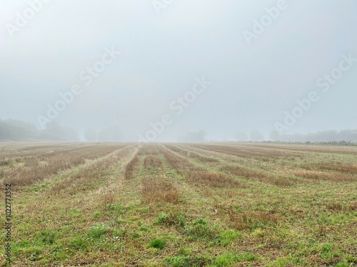A misty autumn morning over an empty harvested field. The fog blankets the horizon, creating a calm and serene atmosphere in the rural landscape.