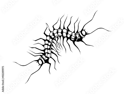 Black and white illustration of a centipede with intricate segmented body and numerous legs. Street art, Brutalism flash tattoo, black and white illustration, isolated vector graphic