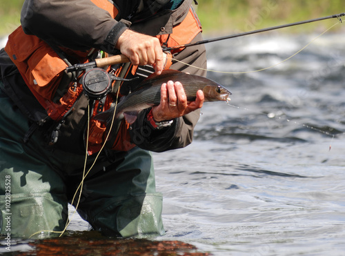 Fisherman showing grayling caught fly fishing in river