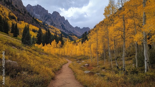 Autumn Colors Along A Scenic Trail