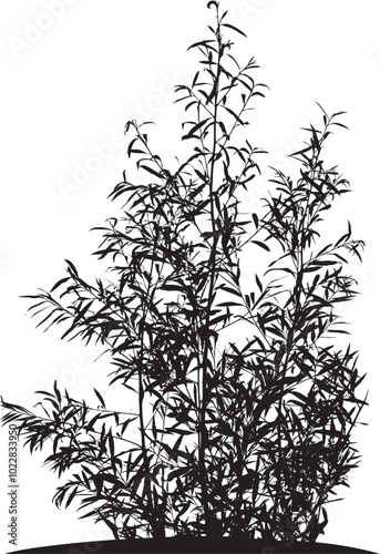 Natural silhouette of bushes with leaves on branches on white background.
