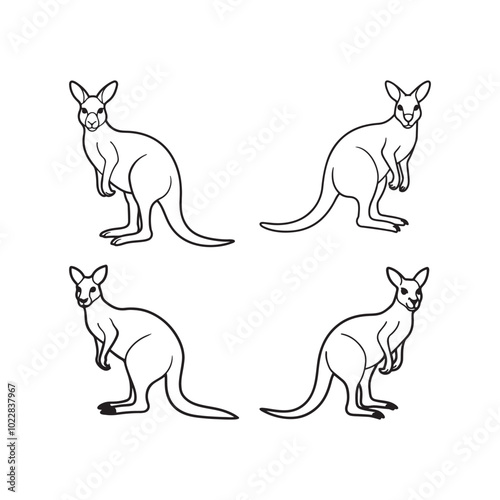 Kangaroo Outline Vector for Coloring.