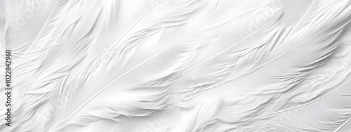 White feather background, elegant texture, white feather pattern, white feather material