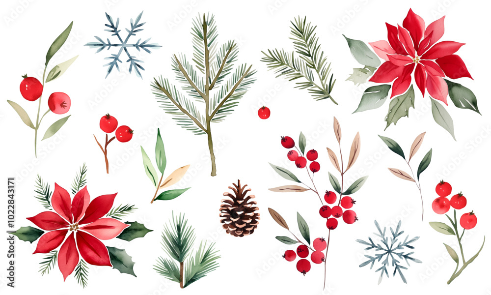Watercolor christmas set. Botanical plants, flowers and snowflakes. Fir branches, berries and festive decorations.