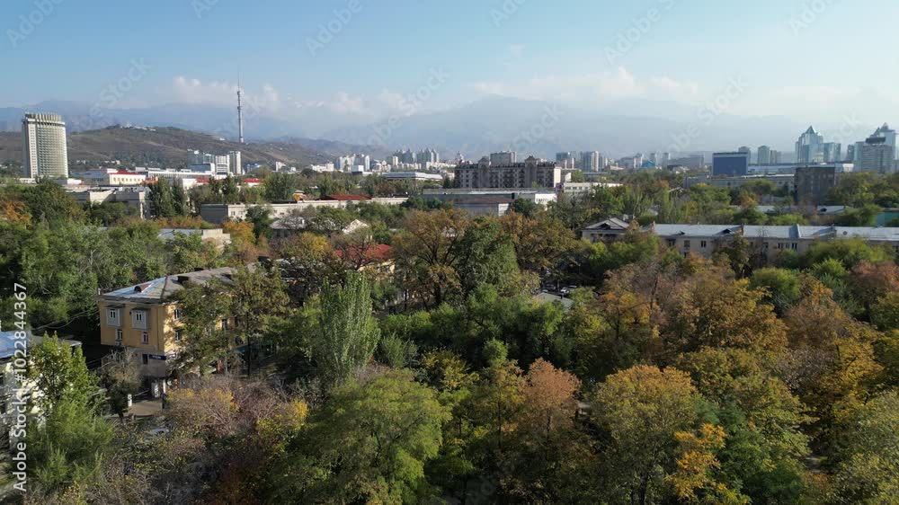 View of the city. Buildings and streets. Trees in autumn foliage. Background plate. The view from the drone. Chroma Key Video Background. View of the city. Buildings and streets. Trees in autumn foliage. Background plate. The view from the drone. Chroma Key Video Background.