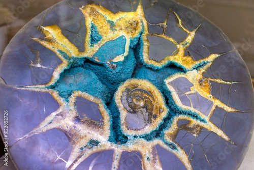 Septarian concretion with crystals of calcite, barite and ammonite sink in center. Natural mineral with star-shaped pattern