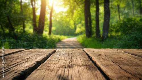 Sunlit forest path with wooden deck in the foreground, AI