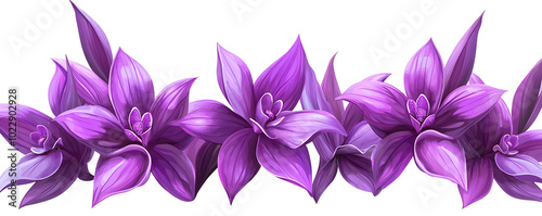 Beautiful Purple Orchid on White Background