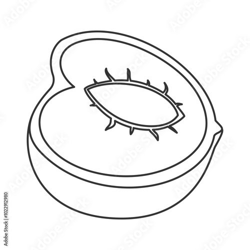 Half of peach fruit contour icon in outline style for fresh, minimal vector illustrations