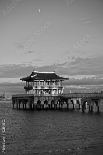 young il bridge(monochrome)