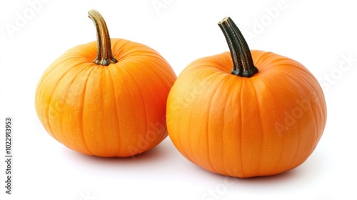 Pumpkins on a white background