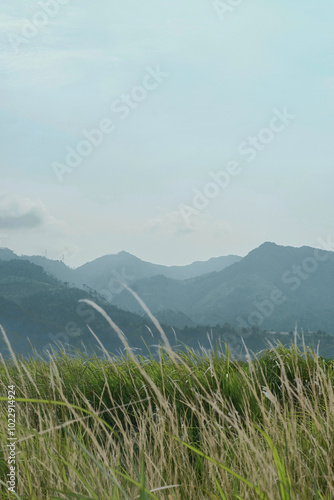 Breathtaking portrait of a majestic mountain rising above lush greenery. The vibrant plants in the foreground frame the scene, highlighting the natural beauty and grandeur of the landscape.