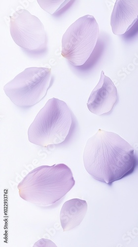 Several translucent purple rose petals are gently falling onto a white background. The image evokes a sense of tranquility and beauty