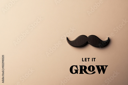 Minimalistic black mustache with 