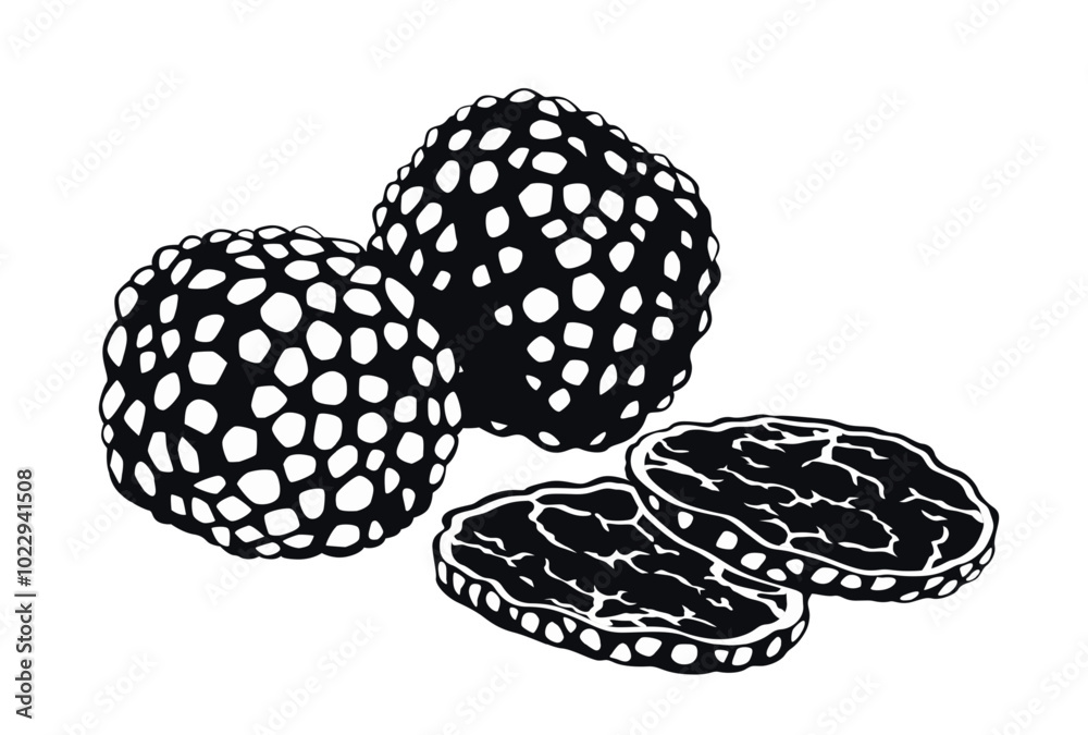 Black truffle vector logo on white background Black truffle vector logo on white background