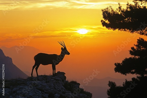 Silhouette of Apennine chamois at sunrise in the Murelle amphitheater, Majella national park, Abruzzo, Italy, Europe - generative ai photo