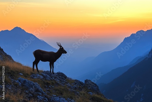 Silhouette of Apennine chamois at sunrise in the Murelle amphitheater, Majella national park, Abruzzo, Italy, Europe - generative ai photo