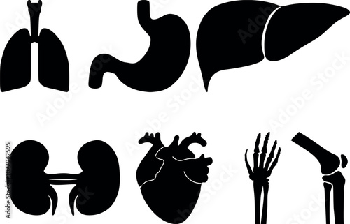 Icons of human organs