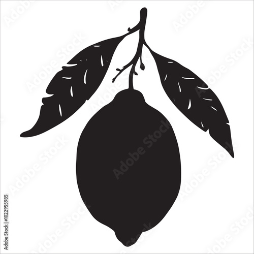 lemon Silhouette