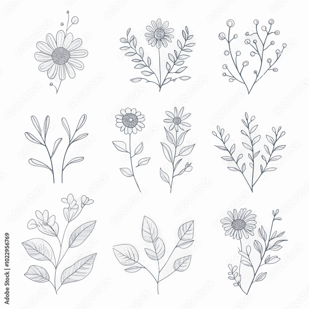 minimal botanical graphic sketch drawing
